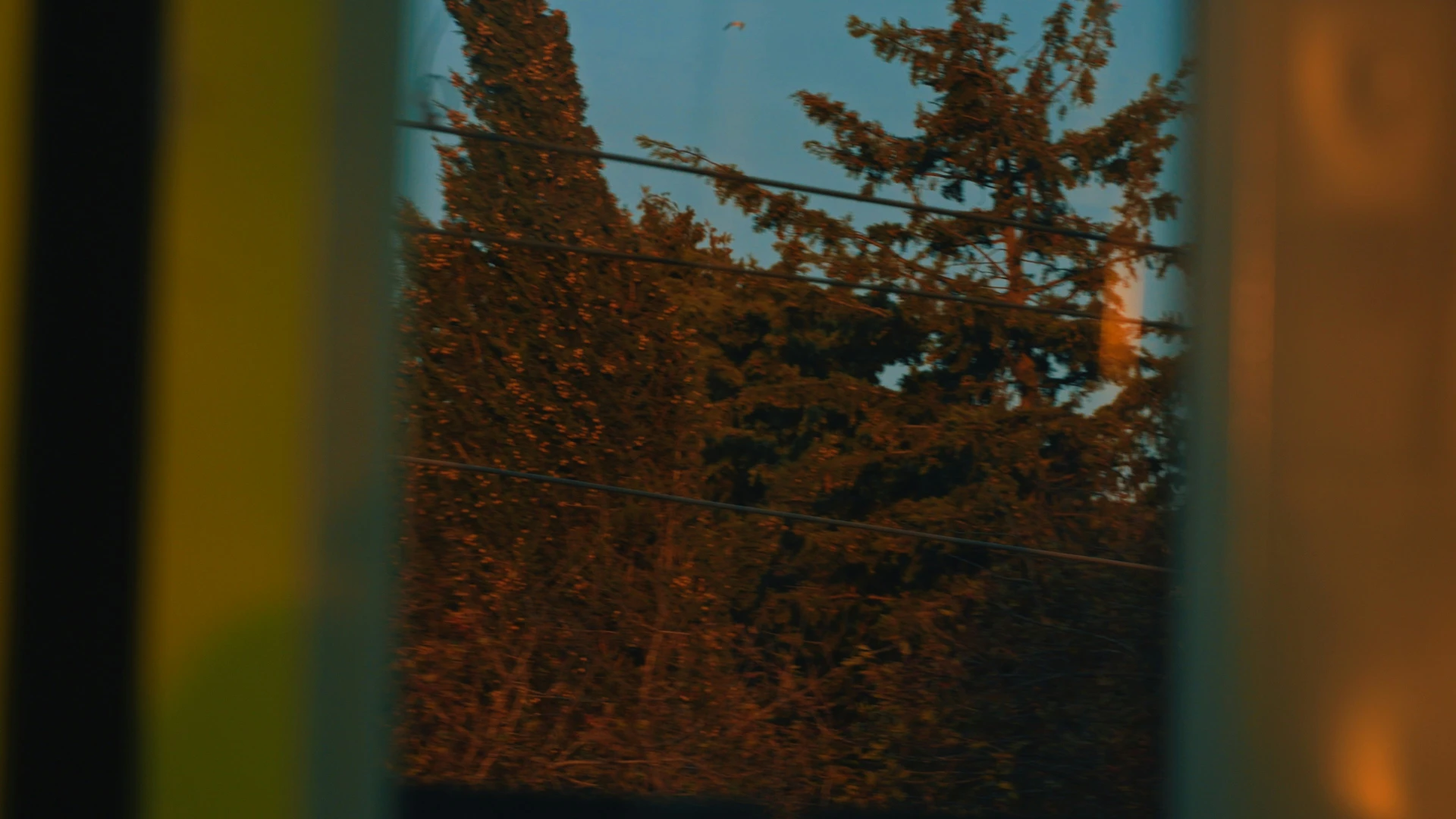 Still from a video that does not exist, which is why it looks so calm.